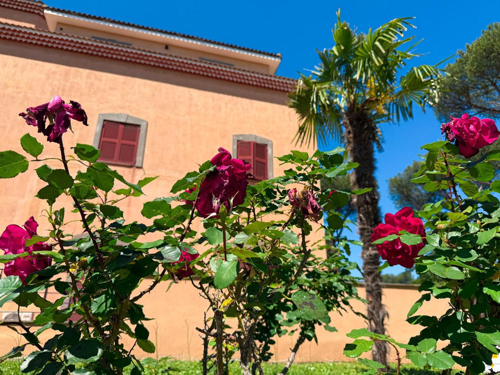 Due Leoni - Casa Per Turismo Cattolico Roma
